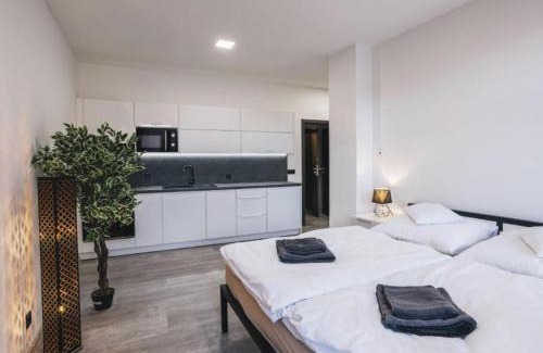 Jindrichuv Hradec Apartment | Apartment Jindřichův Hradec A03 by Interhome