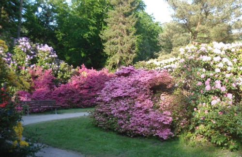 Graal Apartment | Apartment Long beach grass 31 - Long beach grass 31