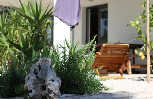 Cove Basina (Jelsa) Apartment | Apartment Miran