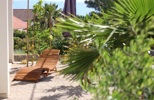 Cove Basina (Jelsa) Apartment | Apartment Miran
