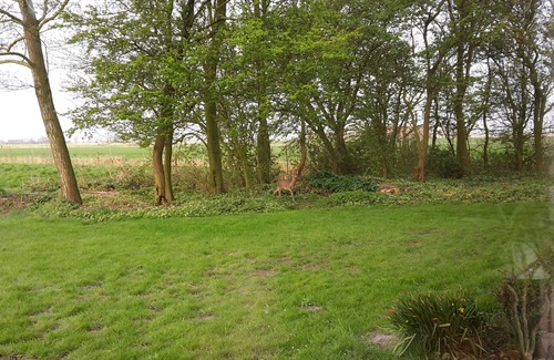 Krummhoern Apartment | Apartment on a farm on the North Sea