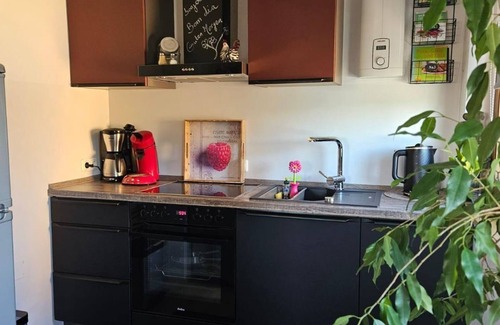 Bernkastel Bed & Breakfast | Apartment on the banks of the Moselle 2 - Apartments Bongarden