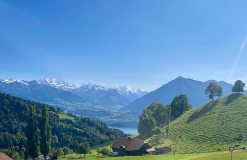 Heiligenschwendi Apartment | Apartment Panorama