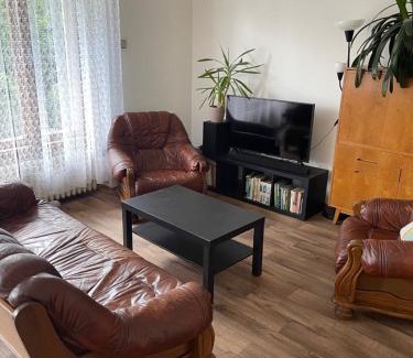 Lysa nad Labem Apartment | Apartment s terasou Lysá