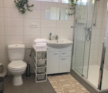 Lysa nad Labem Apartment | Apartment s terasou Lysá