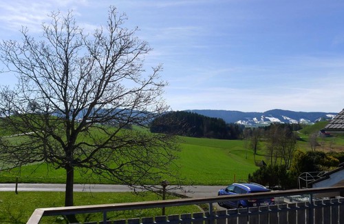 Horgen District Apartment | Apartment Schlieregg by Interhome