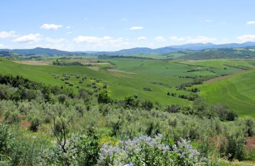 Pomarance Apartment | Apartment Sorbo in Canneto - 4 persons, 2 bedrooms