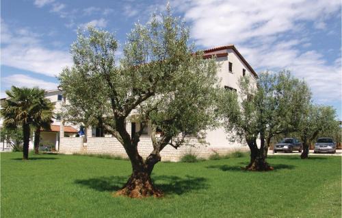 Stancija Vodopija Apartment | Apartment Stancia Vodopija I
