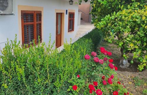 Kastela Apartment | Apartment Stipe