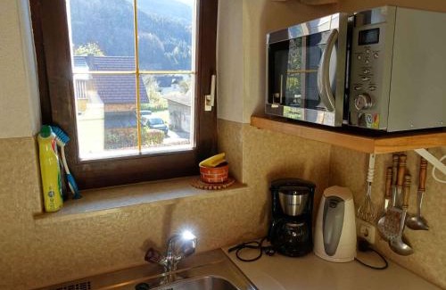 Strobl Apartment | Apartment Strobl 2