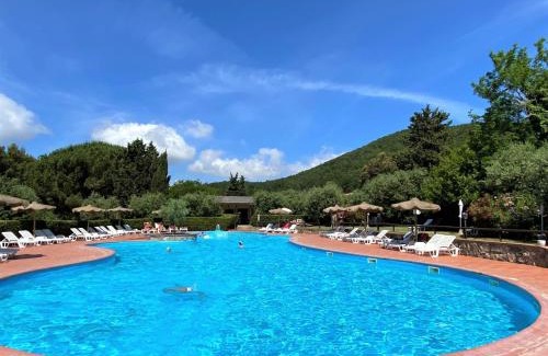 Riparbella Apartment | Apartment Volpe by Interhome