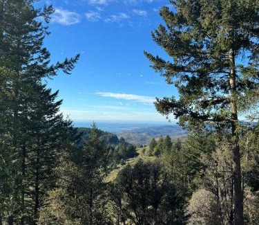 Redwood City Apartment | Apartment w hot tub forest & ocean view
