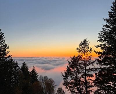 Redwood City Apartment | Apartment w hot tub forest & ocean view