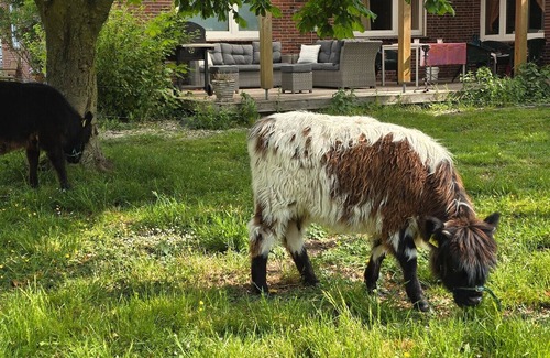 Wiesmoor Apartment | Apartment 'Wiesmoor - Ranch' with Private Terrace, Shared Garden and Wi-Fi