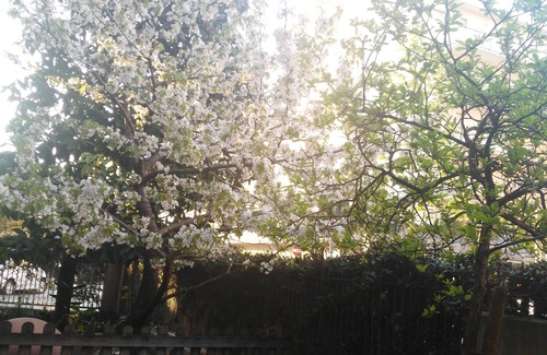 Marina Centro Apartment | Apartment with garden, by the sea, beach included