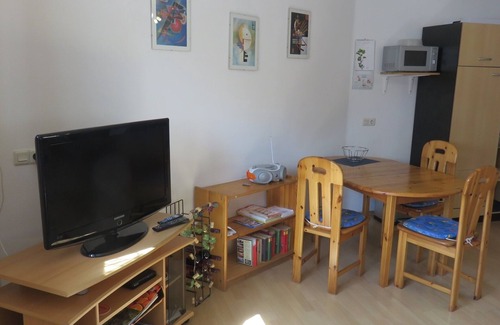 Grossheubach Apartment | Apartment with outdoor seating under the vines | 3 * stars