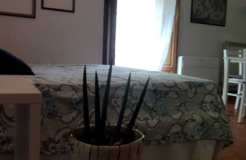 Badia a Ruoti Apartment | Apartment with Park and Pool immersed in the greenery of Tuscany