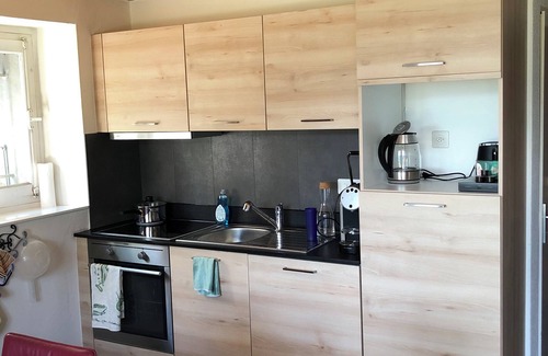 Leysin Apartment | Apartment with terrace and garden for skiers and hikers. Pet friendly!