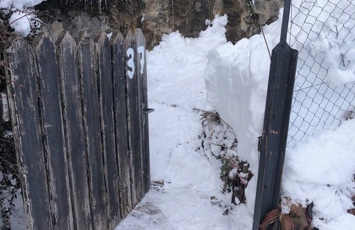 Leysin Apartment | Apartment with terrace and garden for skiers and hikers. Pet friendly!