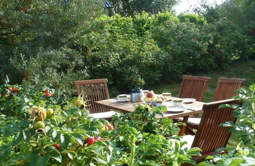 Lohme Apartment | Apartment62 sqm, up to 5 guests, 2 rooms, kitchen, bathroom, garden, sea view, at the national park