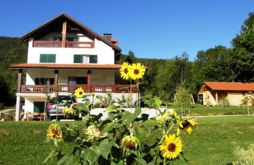 Vranovaca Apartment | Apartments and Room Robert (80821-A1) - Korenica