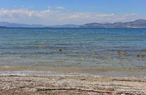 Drace Apartment | Apartments by the sea Drace, Peljesac - 10135