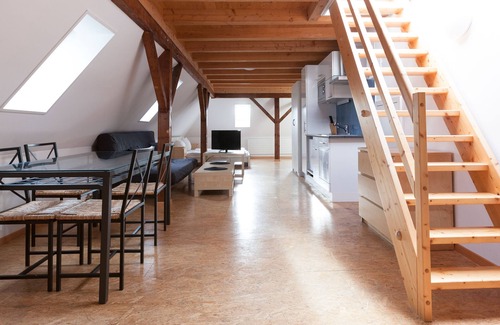 Alt-Wiedikon Apartment | Apartments Swiss Star Sihlfeld