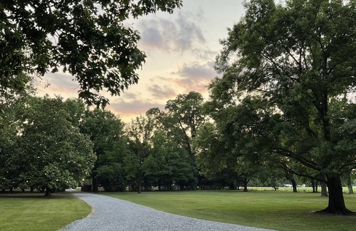 Wayside Cottage | Apothecary Cottage - 1BR Suite at The Belmont 1857