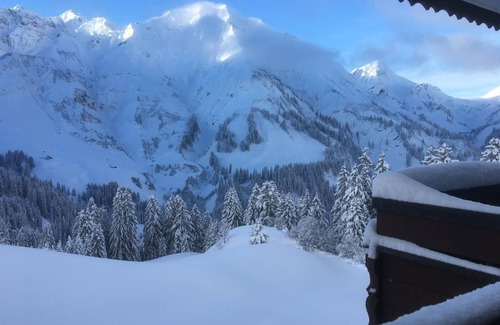 Schroecken Apartment | App. for 2 - 3 persons TOP 13 - Sportappart Hochtannberg