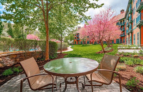 Vernon Condo | Appalachian @ Mtn Creek Pool Hot Tubs Sauna Gym Deck Mtn Front #118