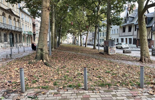 Quartier Vieux Marche-Cathedrale Apartment | Apparently Rougemare