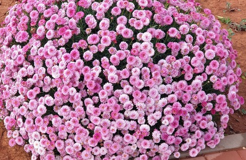 Marina Apartment | Appart 3 Façades Bien Situé Dans une Résidence Calme Bien Entretenu à la Marina