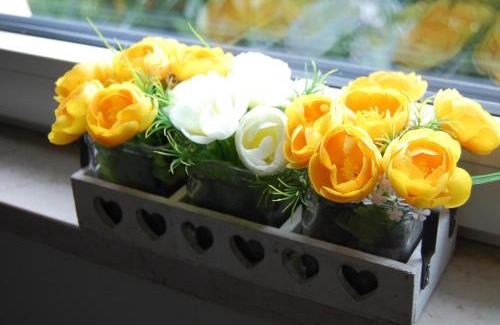 Nord-Est Apartment | Appartamenti Poggio di Giano