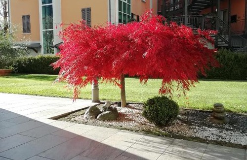 Madonna di Tirano Apartment | APPARTAMENTO ACERO - 2 min walk to Bernina Express