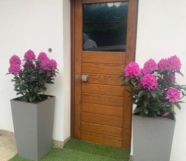 Pieve di Cadore Apartment | Appartamento Carducci