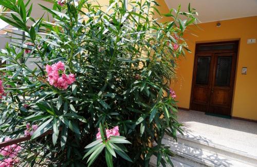 Battaglia Terme Apartment | Appartamento Colli & Terme