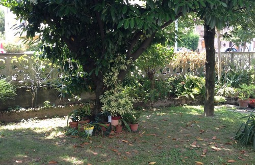 Dosson House | Appartamento Completo a Dosson Centro