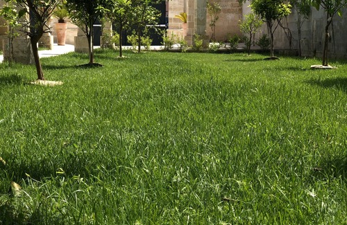 Poggiardo House | Appartamento in palazzo Umberto