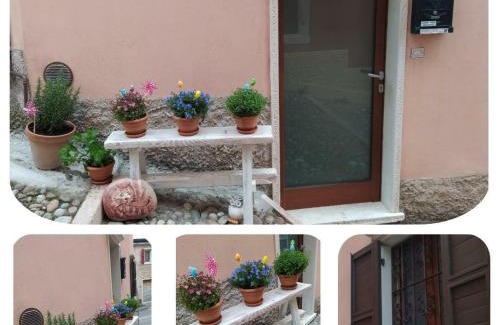 Cavaion Veronese Apartment | Appartamento La Scaletta