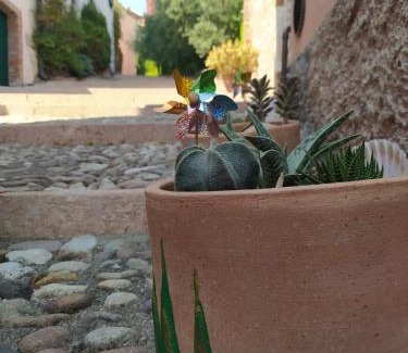 Cavaion Veronese Apartment | Appartamento La Scaletta
