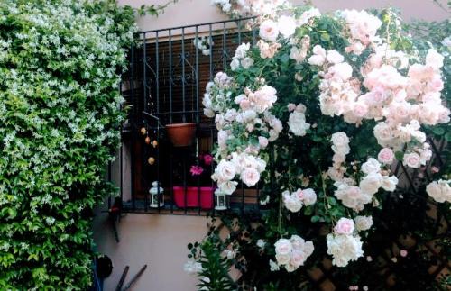 Menaggio House | Appartamento La terrazza di Dora