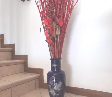 Abano Terme Apartment | Appartamento Le Rose