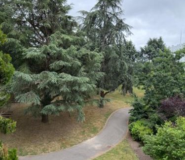 Bellevue Apartment | appartement entier 4 chambres