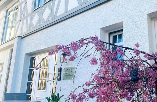Hoehr-Grenzhausen Apartment | Appartement Lilie - 2-bed apartment - Apartments in the Château d'Esprit
