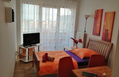 Hartenberg-Munchfeld Apartment | Appartement Mainz Universität