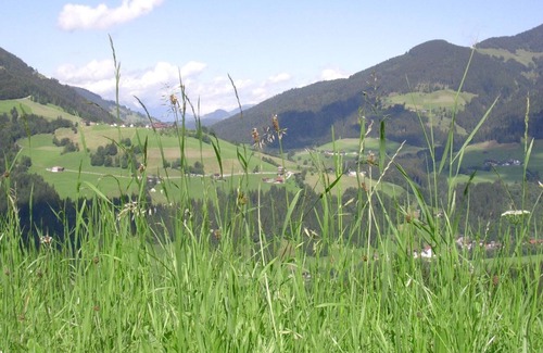 Wildschoenau Apartment | Appartement Panoramablick Kurzurlaub - Schürzberghof