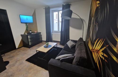 Mulhouse Apartment | Appartement spacieux MULHOUSE