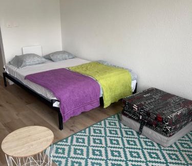 Paquis Navigation Apartment | Appartement Tara
