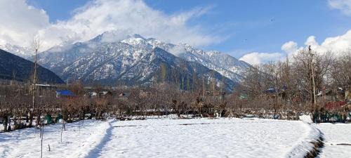 Pahalgam Apartment | Apple Garden view and restaurant