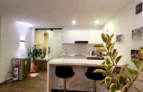 Zona Rosa Apartment | apt 1